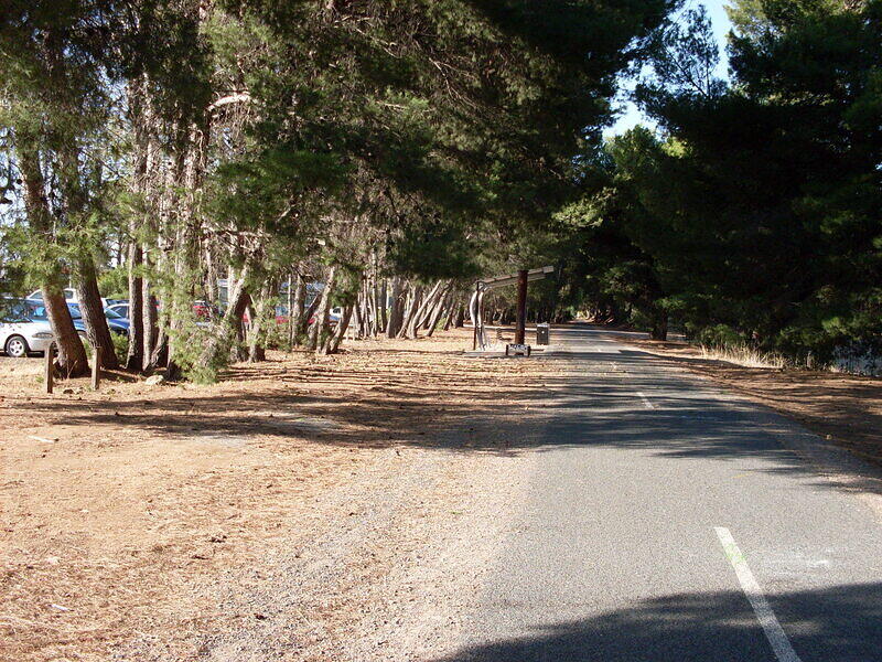 Looking North to the Approximate Location of Station Platform