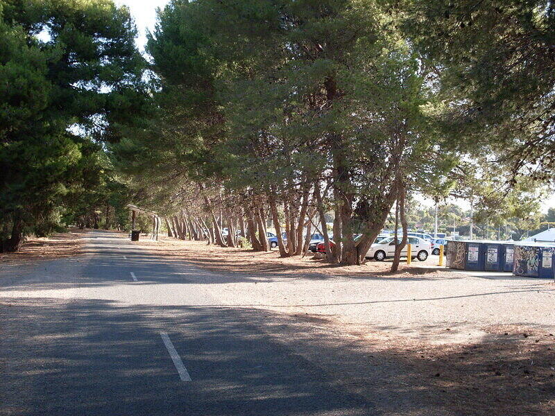 Looking South to the Approximate Location of Station Platform