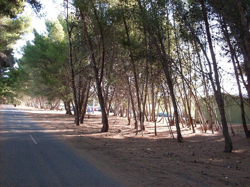NMRI Clubrooms Situated Just West of the Right of Way