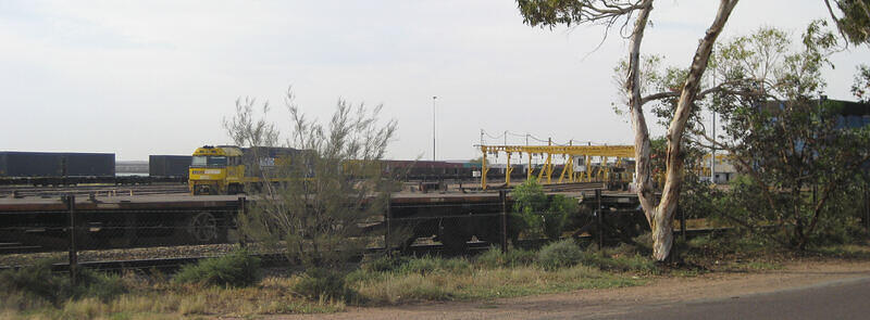 IMG 4524