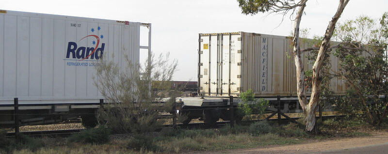 IMG 4530