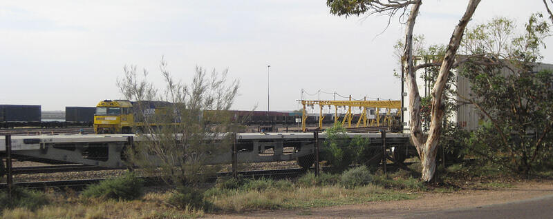 IMG 4536