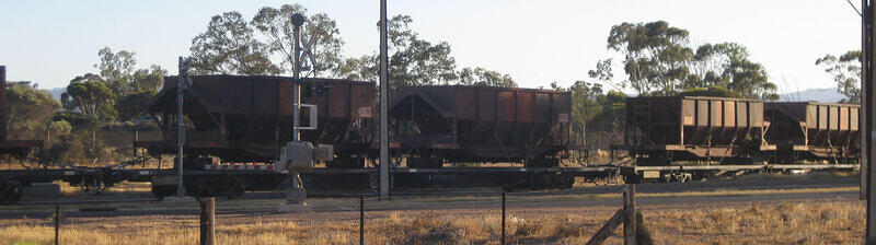 IMG 4785