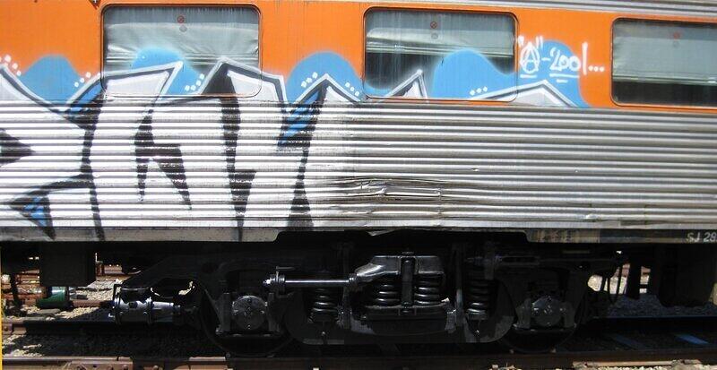 Img 1569