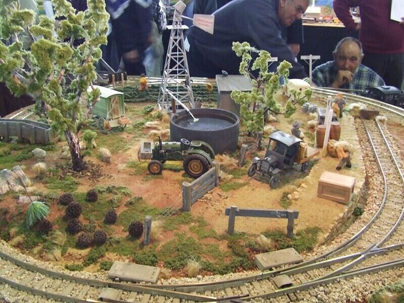 Kangaroo and Cockatoo 03