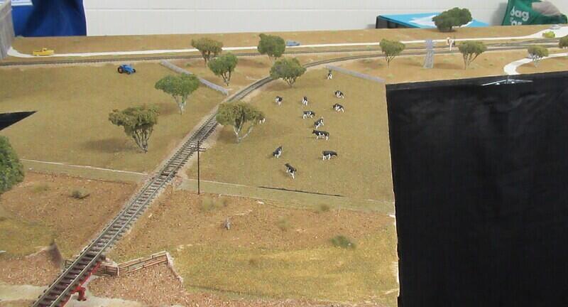 The Milang Branch in N 12