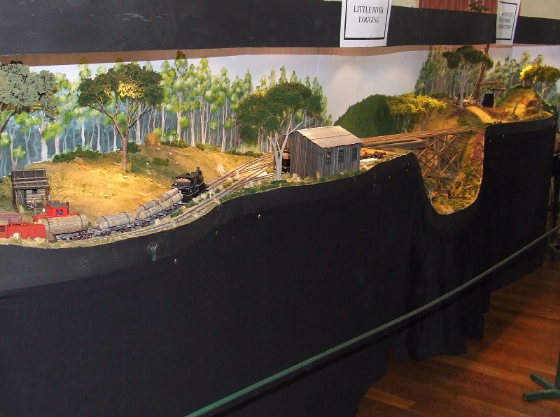 Little River Logging 04