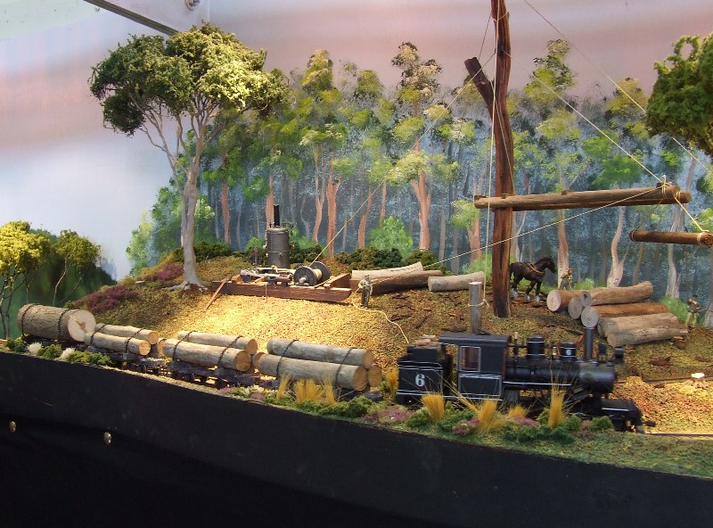 Little River Logging 06