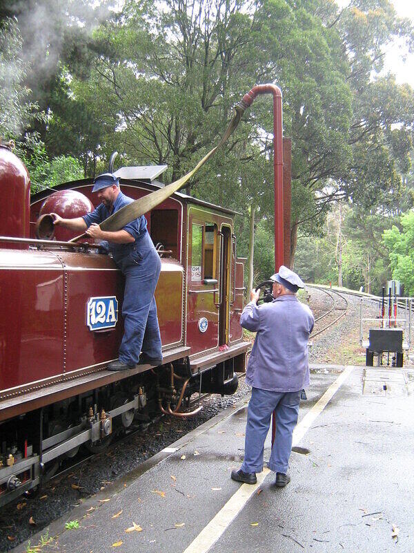 Na12a taking water at Menzies Creek1