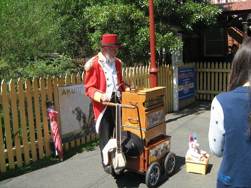 Organ Griner at Belgrave Station