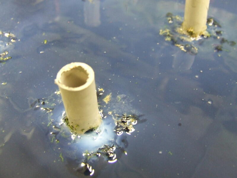 Paradigm Jetty modifications 52