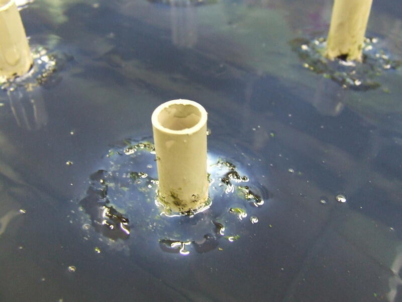 Paradigm Jetty modifications 53