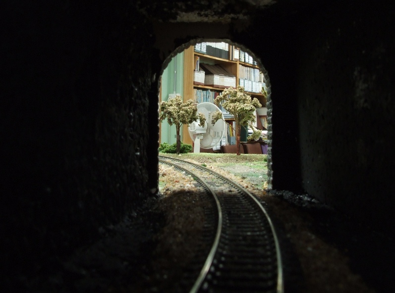 Tunnel looking out 01