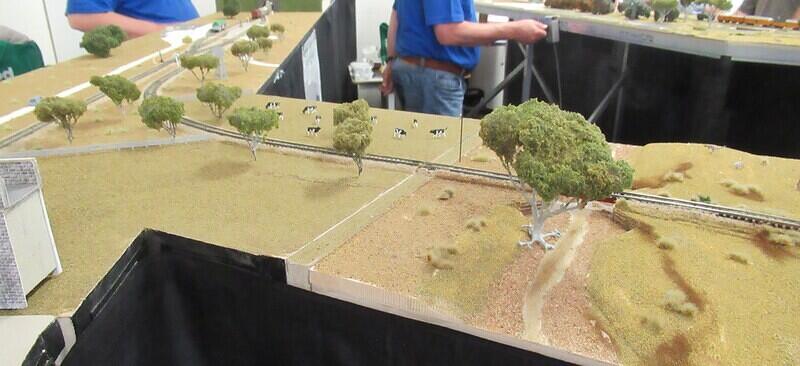 The Milang Branch in N 11