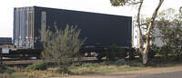 IMG 4528
