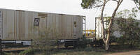 IMG 4534