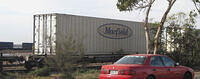 IMG 4535
