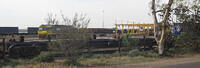 IMG 4559