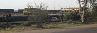 IMG 4562