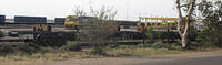 IMG 4569