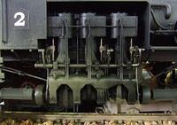 Kangaroo and Cockatoo 06