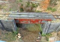 Saint Bernard sur la Mer 03