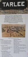 Tarlee 01