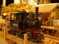 Kangaroo and Cockatoo Railway 8 09