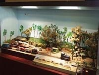 Ladysmith Sidings 8 03