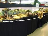 Little River Logging 8 02