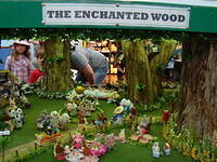 The Enchanted Wood 10 12