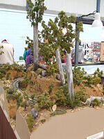 Kangaroo and Cockatoo Railway 12 01