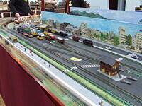 Wapita - RTR Group 12 02