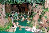 Enchanted Wood 16 06