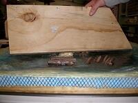 Defying the laws of nature 01